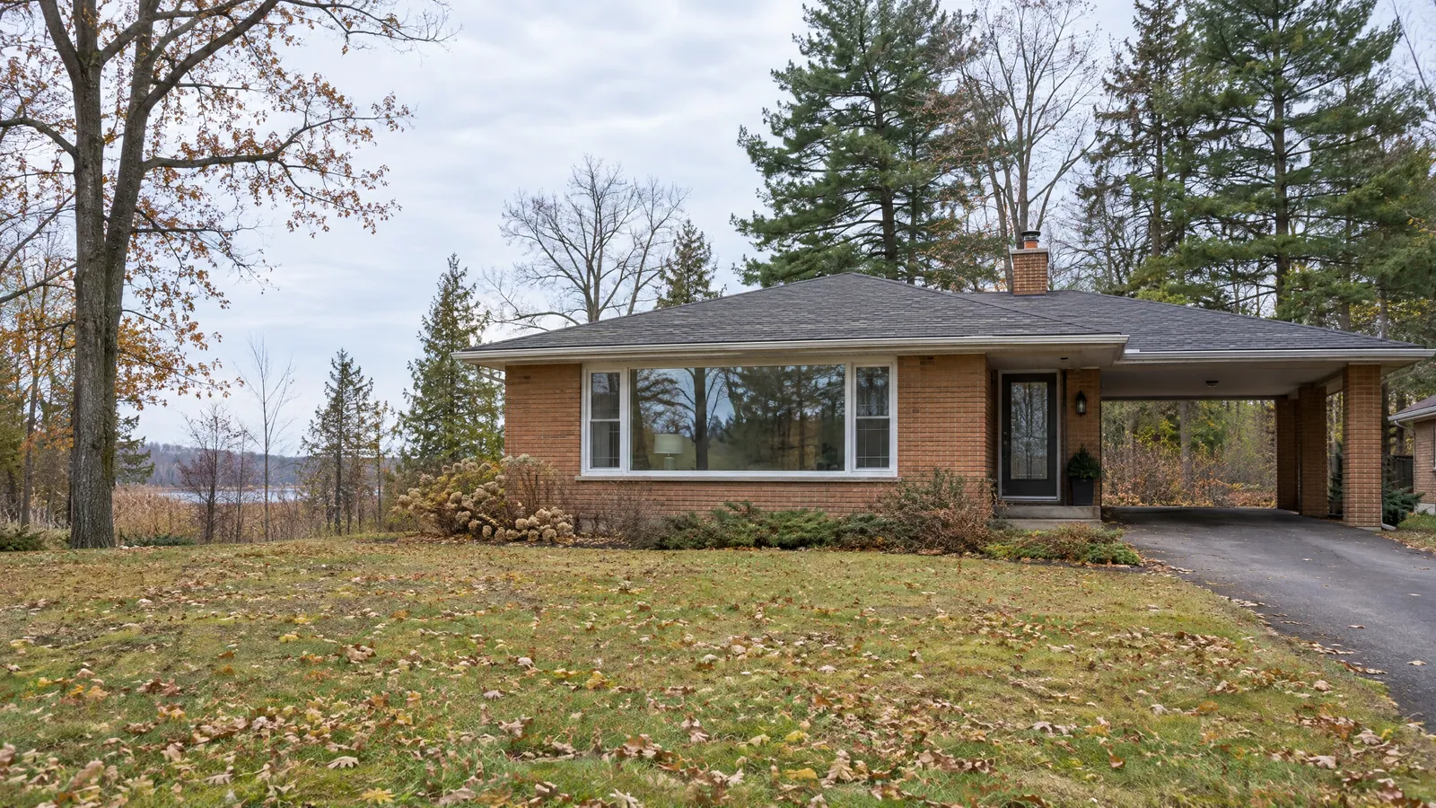 Low brick bungalow with a wide three-part picture window and a carport on a leaf-covered lot, marsh visible behind, in late autumn